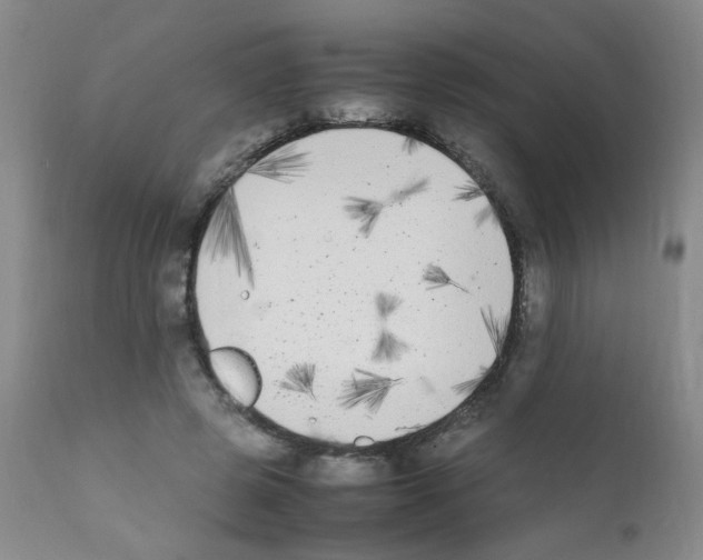 X0000111850545200909031729