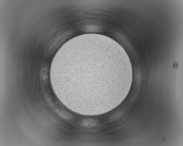X0000111850549200909031729