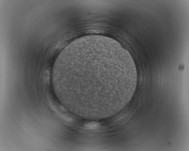 X0000111850551200909031730