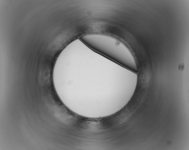 X0000111850552200909031730