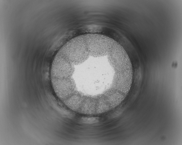X0000111850553200909031730