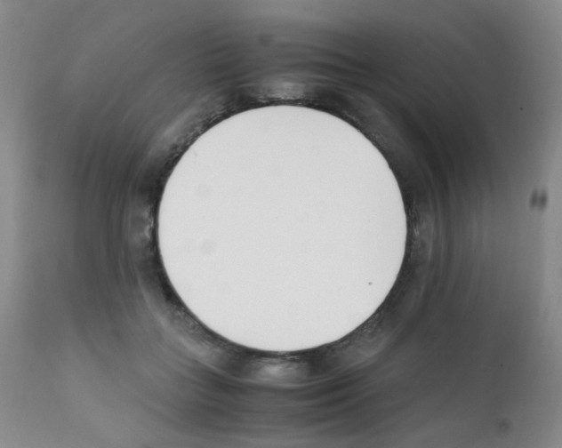 X0000111850555200909031730