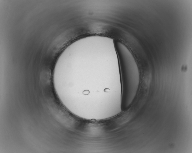 X0000111850556200909031730