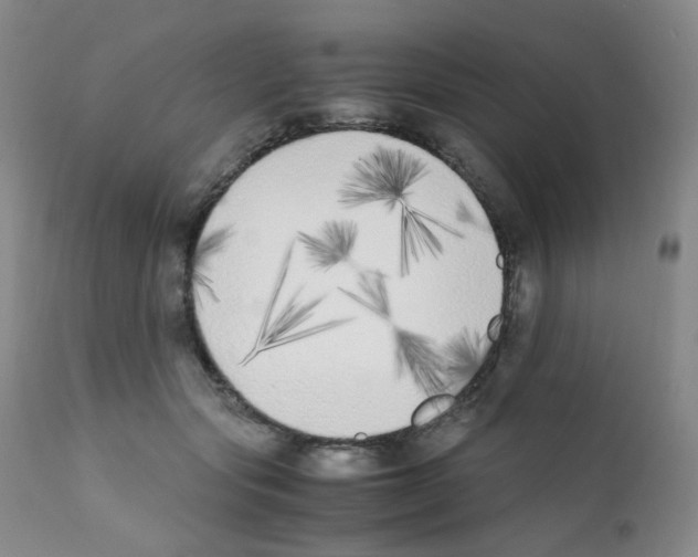 X0000111850557200909031730