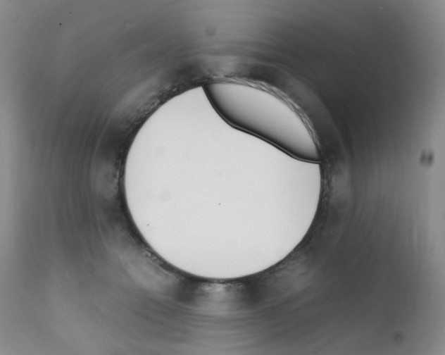 X0000111850558200909031730