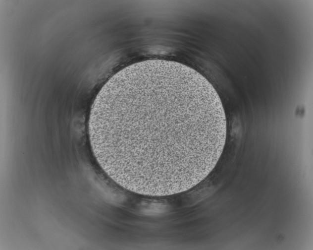X0000111850559200909031730