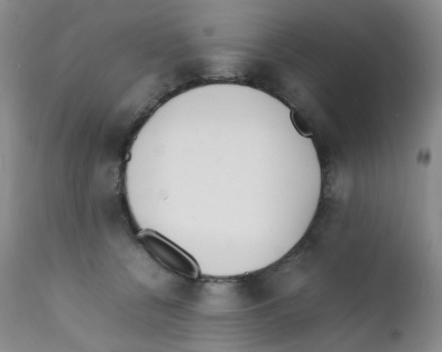 X0000111850560200909031730