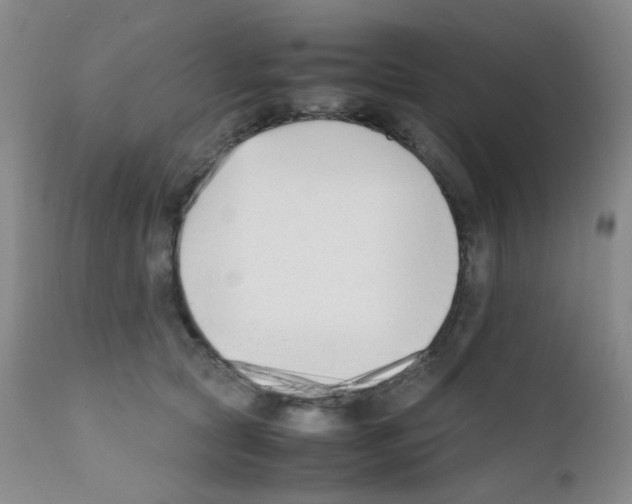 X0000111850561200909031730