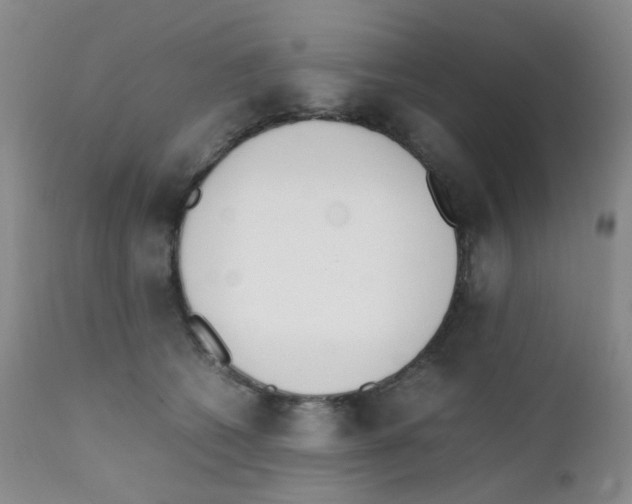 X0000111850562200909031730