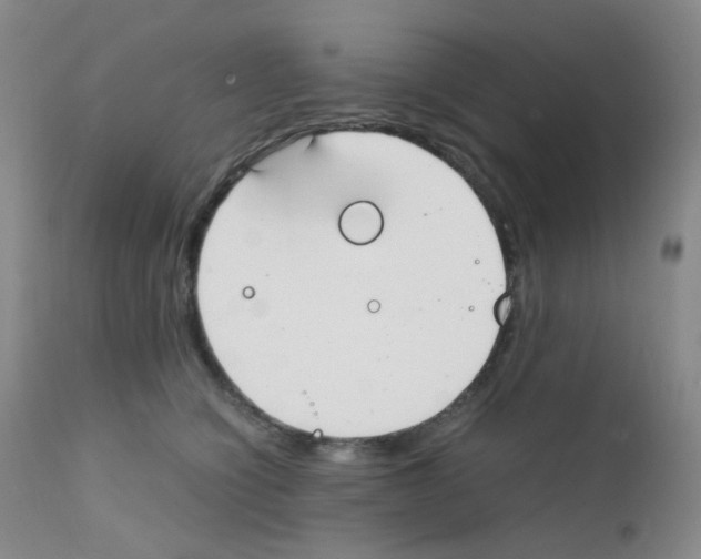 X0000111850564200909031730