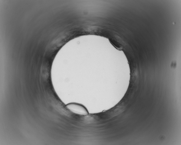 X0000111850566200909031730