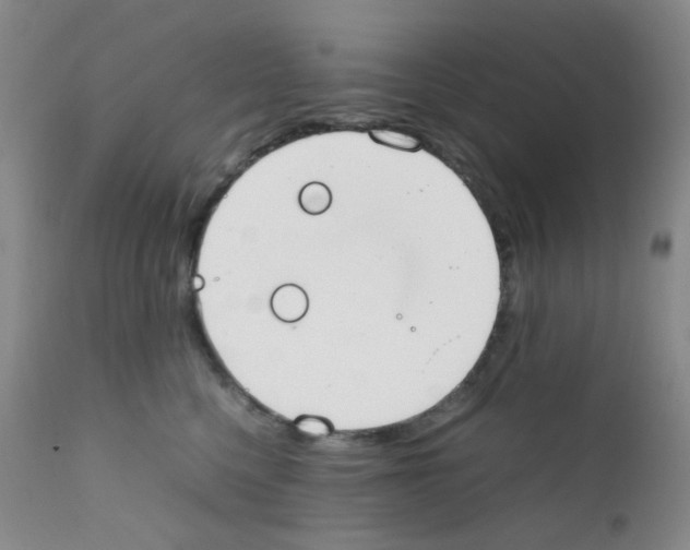 X0000111850568200909031730