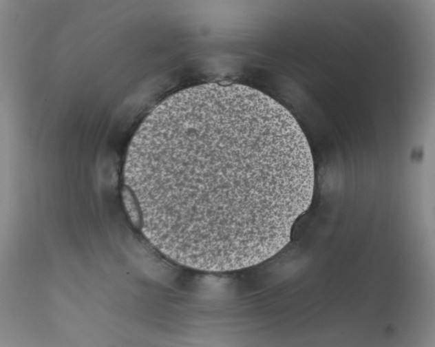 X0000111850570200909031730