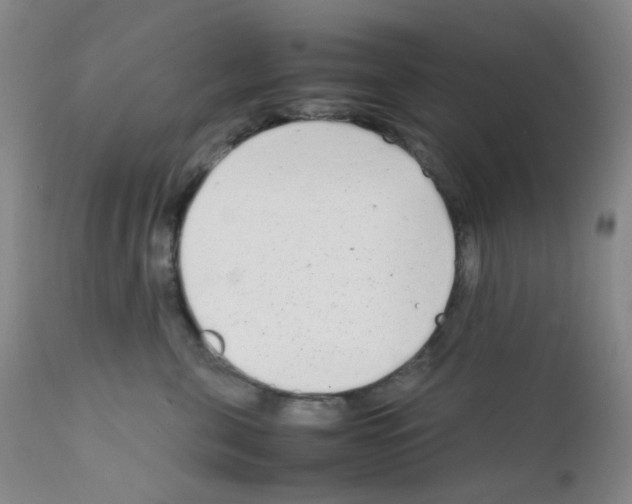 X0000111850571200909031730