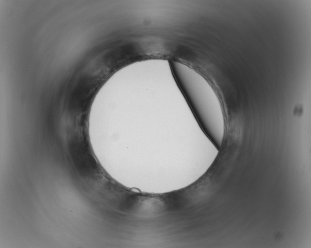 X0000111850572200909031730