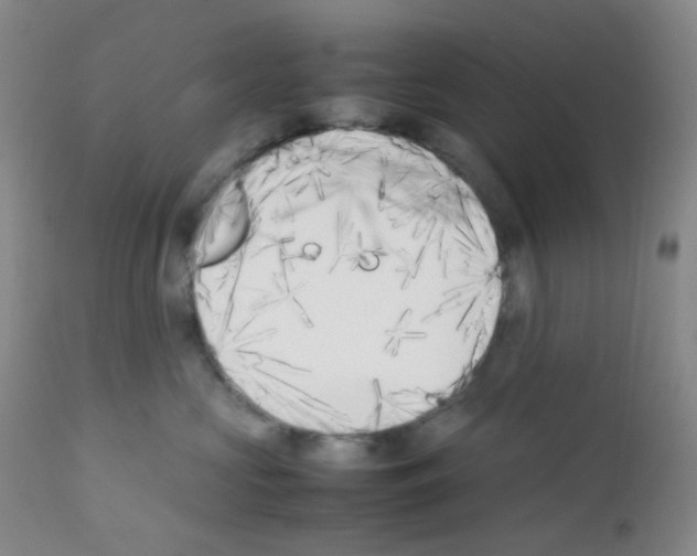 X0000111850573200909031730