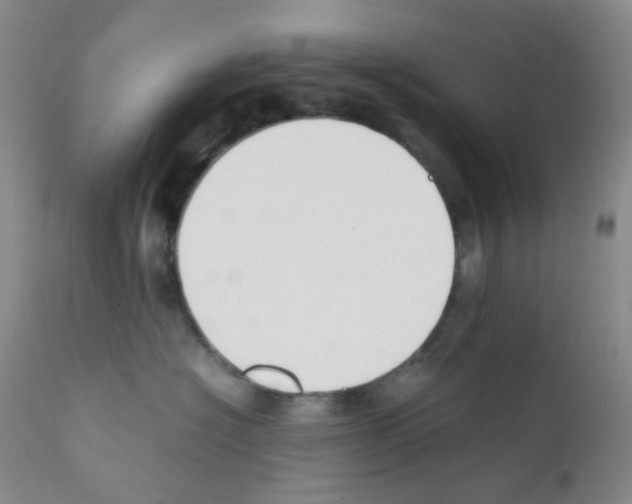 X0000111850574200909031730