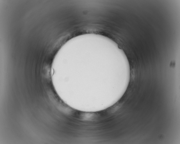 X0000111850575200909031730