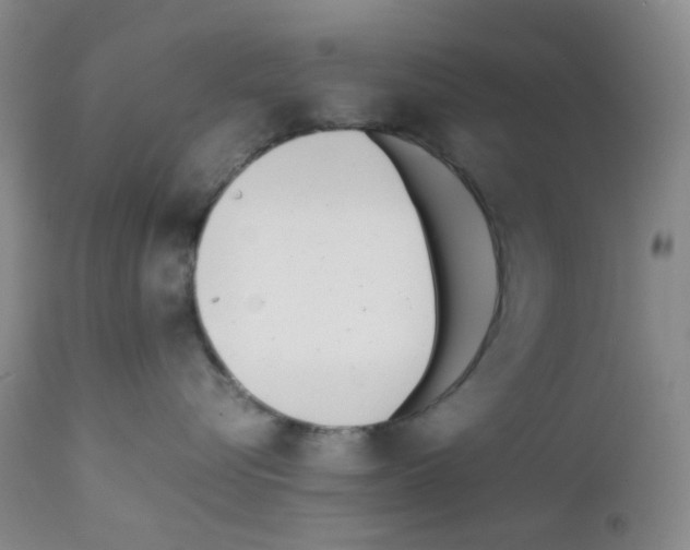 X0000111850576200909031730