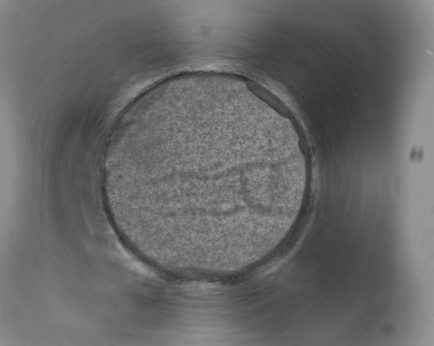 X0000111850577200909031729