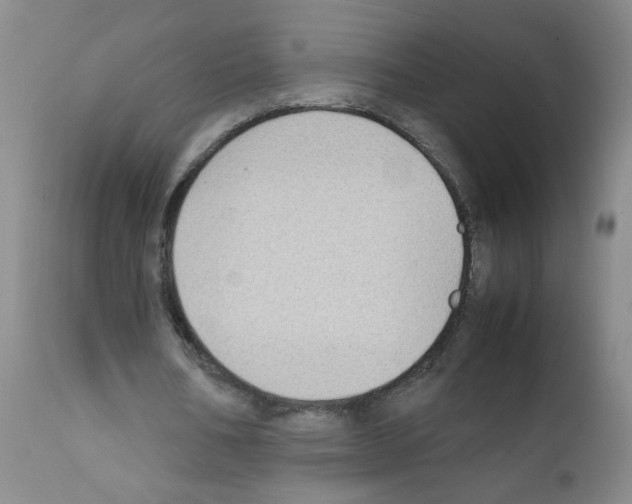 X0000111850578200909031729