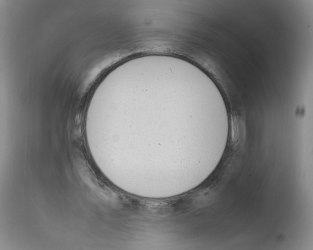 X0000111850579200909031729
