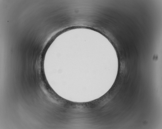 X0000111850580200909031729