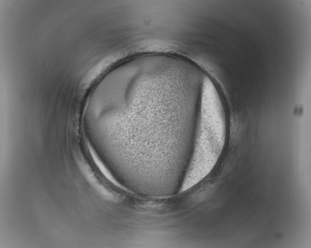 X0000111850581200909031729