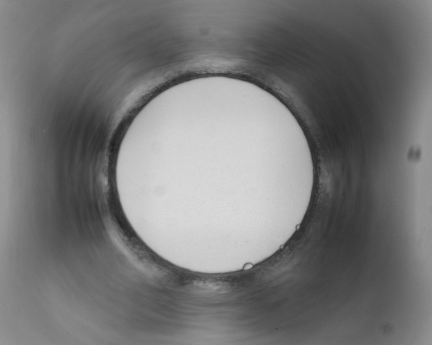 X0000111850582200909031729