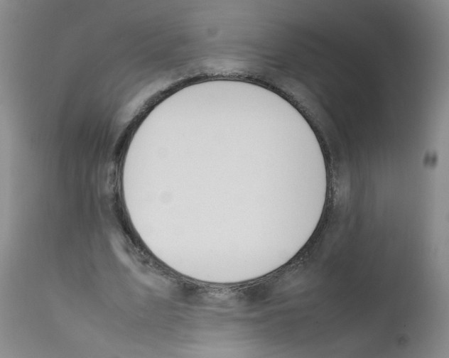 X0000111850583200909031729
