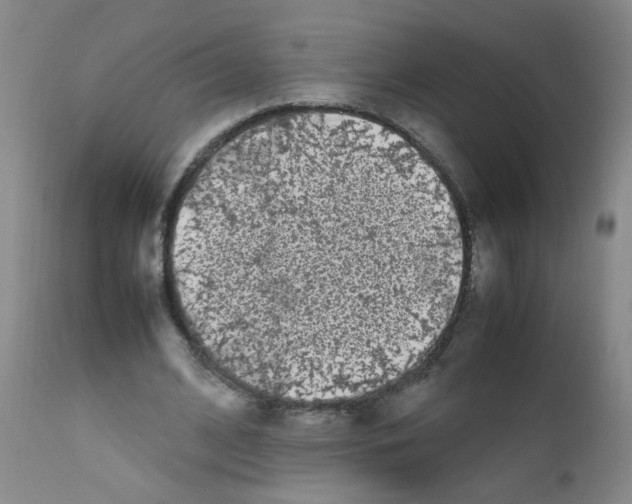 X0000111850584200909031729