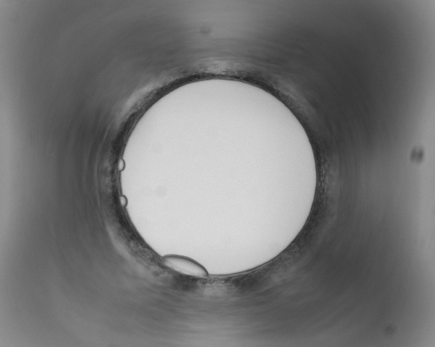 X0000111850587200909031729