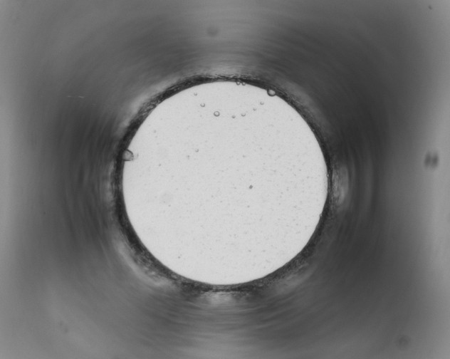 X0000111850588200909031729