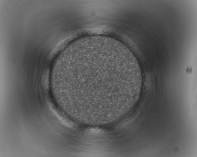 X0000111850590200909031729