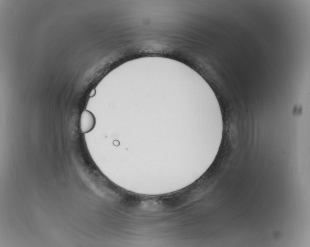 X0000111850591200909031729