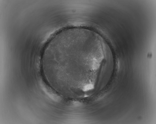 X0000111850592200909031729