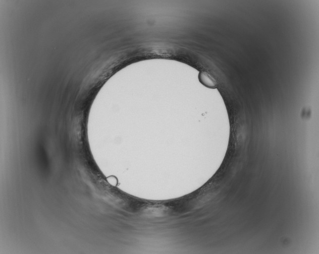X0000111850595200909031729