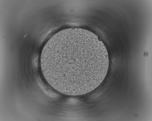 X0000111850596200909031729