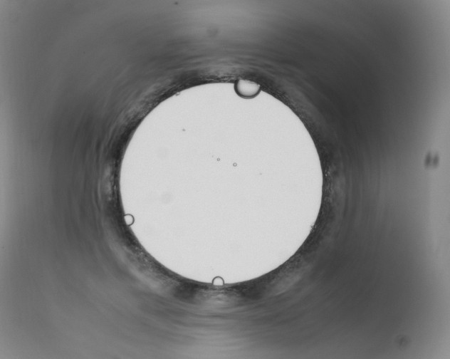 X0000111850597200909031729