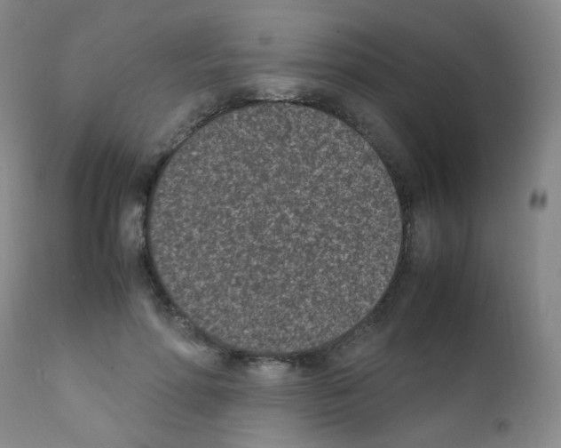 X0000111850598200909031729