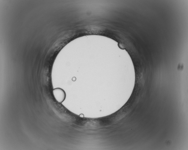 X0000111850599200909031729