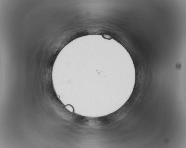X0000111850601200909031729