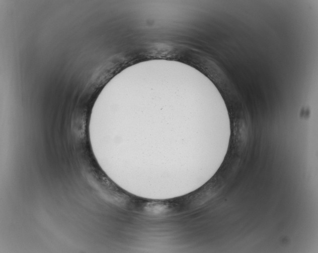 X0000111850602200909031729