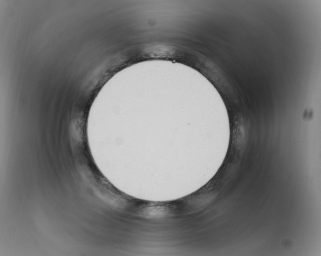 X0000111850604200909031729