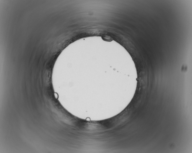 X0000111850605200909031729