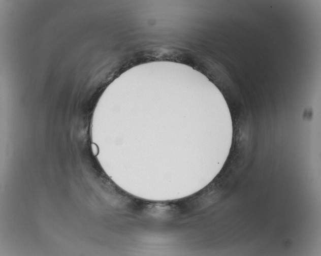 X0000111850607200909031729