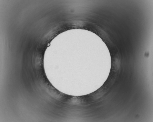 X0000111850608200909031729