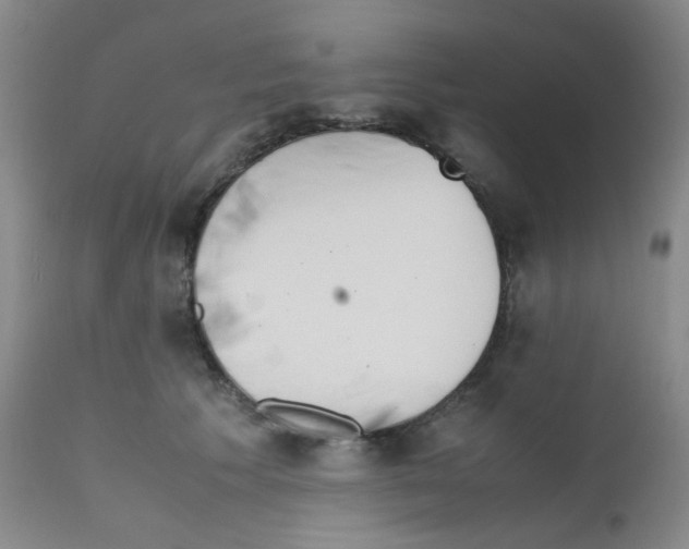 X0000111850609200909031729
