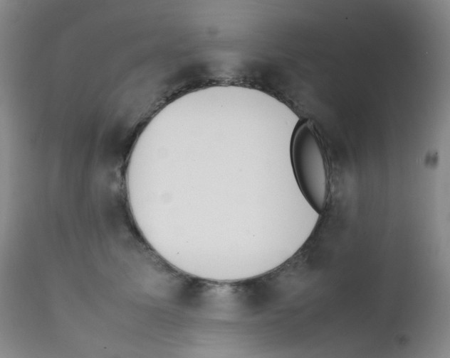 X0000111850611200909031729
