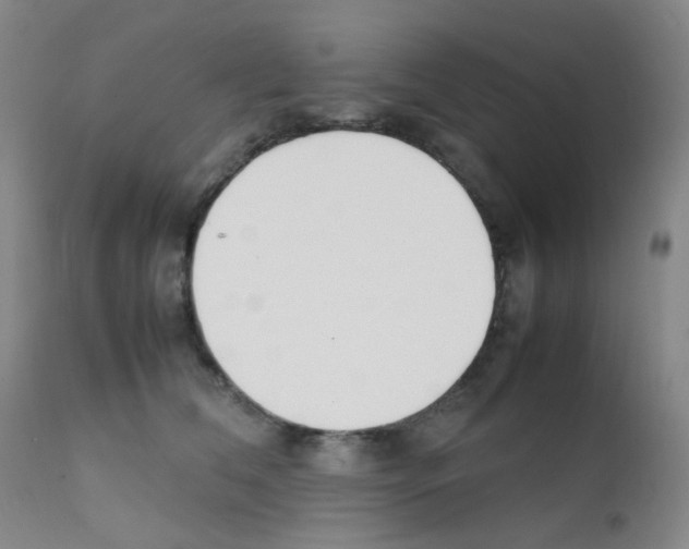 X0000111850612200909031729